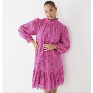 NWOT Jcrew Ruffle Neck Pink Lace Dress in soft Azela Xs